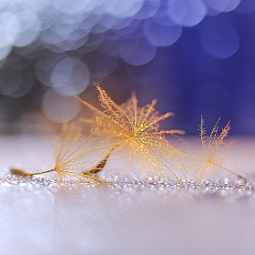 *** | Фотограф Юлия Войнич | foto.by фото.бай