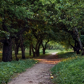 Вечерело | Фатограф Сергей Шабуневич | foto.by фото.бай