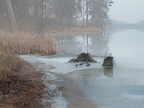 Январь на озере | Фотограф Валерий Козуб | foto.by фото.бай