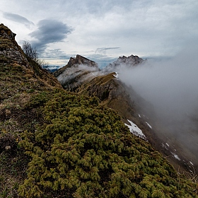 фотограф Александр Плеханов. Фотография "Можжевельник и туман"
