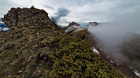 Можжевельник и туман | Фотограф Александр Плеханов | foto.by фото.бай