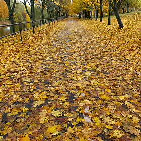 *** | Фотограф Ihar Karneichuk | foto.by фото.бай