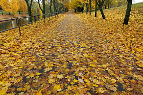 *** | Фотограф Ihar Karneichuk | foto.by фото.бай