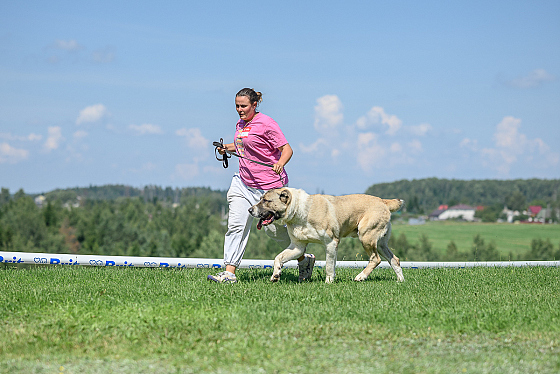 Фотограф Сергей Клеменок, фотография добавлена 17.02.2026