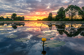 Встреча нового дня | Фотограф Руслан Авдевич | foto.by фото.бай