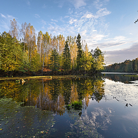 краски сентября | Фотограф Виталий Полуэктов | foto.by фото.бай