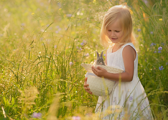 Надежда Скок - фотограф в городе Гродно, фотография добавлена 26.07.2021