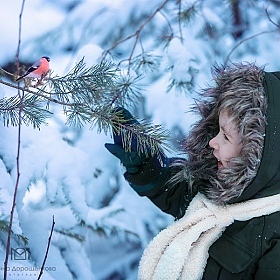 фотограф Марина Дорощенкова. Фотография "Зимняя сказка"