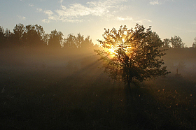 Игривое солнце | Фотограф Сергей Тарасюк | foto.by фото.бай