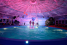 Работа фотографа Сергей Тарасов