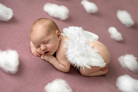 Фотограф Ольга Хиневич, фотография добавлена 25.02.2026