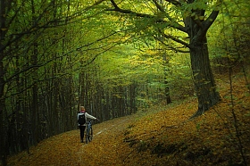 Осенними тропинками.. | Фотограф Сергей Шляга | foto.by фото.бай