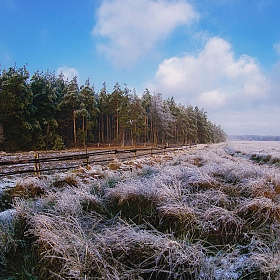 Заморозки | Фотограф Артур Язубец | foto.by фото.бай