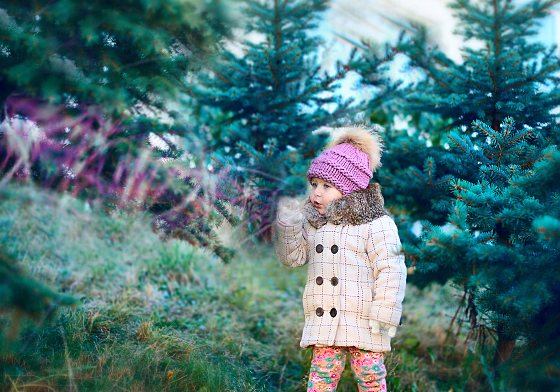 Фотограф Анна Гри, фотография добавлена 21.10.2016