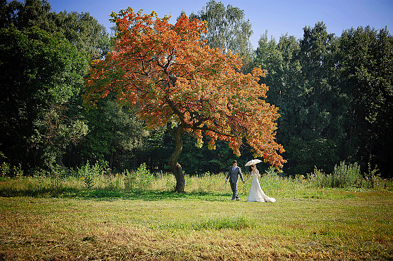 Фотограф Виталий Красовский, фотография добавлена 22.03.2026