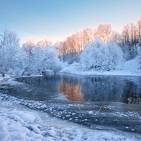 морозный денёк | Фотограф Виталий Полуэктов | foto.by фото.бай