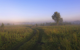 Колыбельная тумана. | Фотограф Mihail | foto.by фото.бай