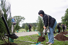 Работа фотографа Сергей Тарасов