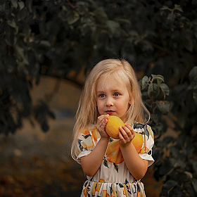 Лимоны | Фотограф Сергей Говор | foto.by фото.бай