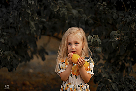 Лимоны | Фотограф Сергей Говор | foto.by фото.бай