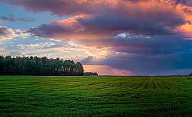 Про вечер | Фотограф Сергей Шабуневич | foto.by фото.бай