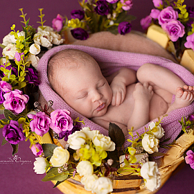 фотограф Анастасия Острога. Фотография "Фотосессия новорождённого малыша"