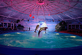 Работа фотографа Сергей Тарасов