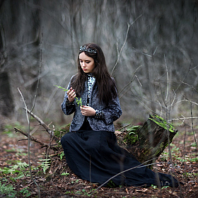 фотограф Марина Шавловская. Фотография "Таинственный лес"