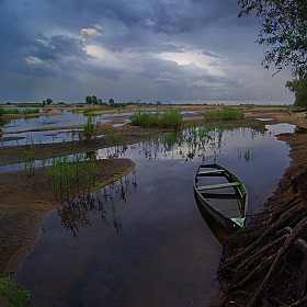 Отступила река | Фотограф Сергей Шляга | foto.by фото.бай