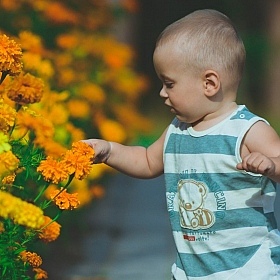 фотограф Максим Прокопович. Фотография "дети цветы жизни"