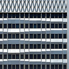 Узоры | Фотограф Александр Кузнецов | foto.by фото.бай