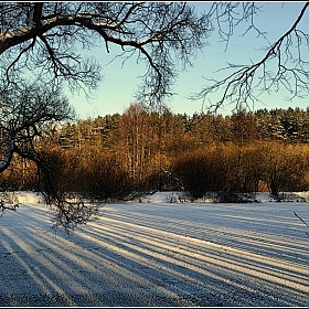 фотограф Игорь Сафонов. Фотография "штрих-код  "зима""
