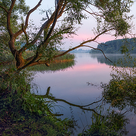 Утро у озера | Фотограф Сергей Шабуневич | foto.by фото.бай