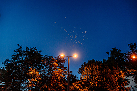 Работа фотографа Сергей Тарасов