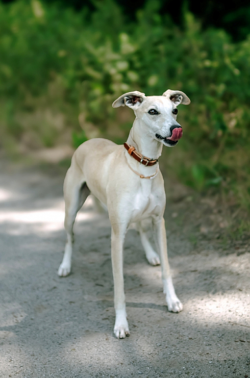 Фотограф Мария Войтик, фотография добавлена 24.12.2025