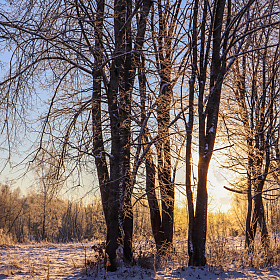 фотограф Екатерина Осипович. Фотография "Морозное утро."