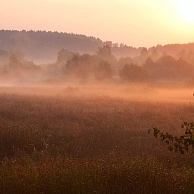 фотограф Андрей Рыбачук. Фотография "Утренняя дымка"