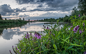 Утренняя река | Фотограф Александр Шатохин | foto.by фото.бай