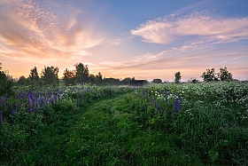 летнее утро | Фотограф Виталий Полуэктов | foto.by фото.бай