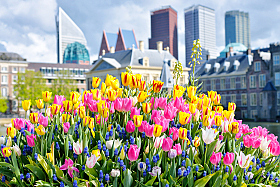 Весна в Гааге | Фотограф Александр Кузнецов | foto.by фото.бай