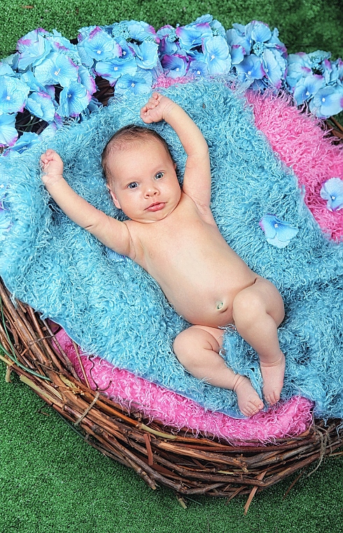 Елена Цветкова - фотограф в городе Минск, фотография добавлена 05.04.2016