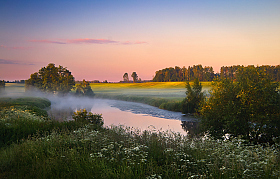 На утренней зорьке | Фотограф Сергей Шабуневич | foto.by фото.бай