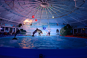 Работа фотографа Сергей Тарасов