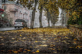Осенняя улица | Фотограф Александр Шатохин | foto.by фото.бай