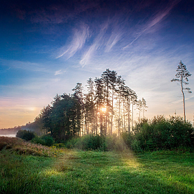 Утренняя | foto.by фото.бай