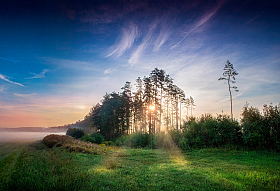 Утренняя | foto.by фото.бай