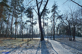 Утро в парке | Фотограф Сергей Мышковский | foto.by фото.бай
