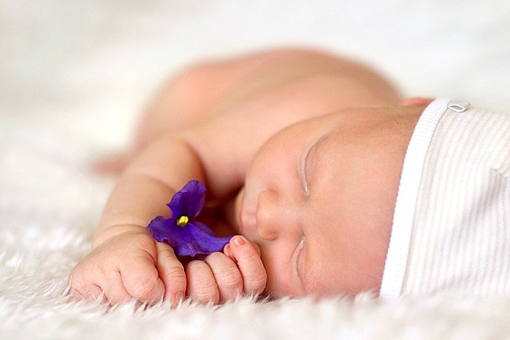 Екатерина Додока - фотограф, фотография добавлена 27.09.2015