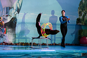 Работа фотографа Сергей Тарасов