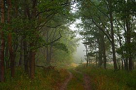 Утренний пейзаж | Фотограф Сергей Шляга | foto.by фото.бай